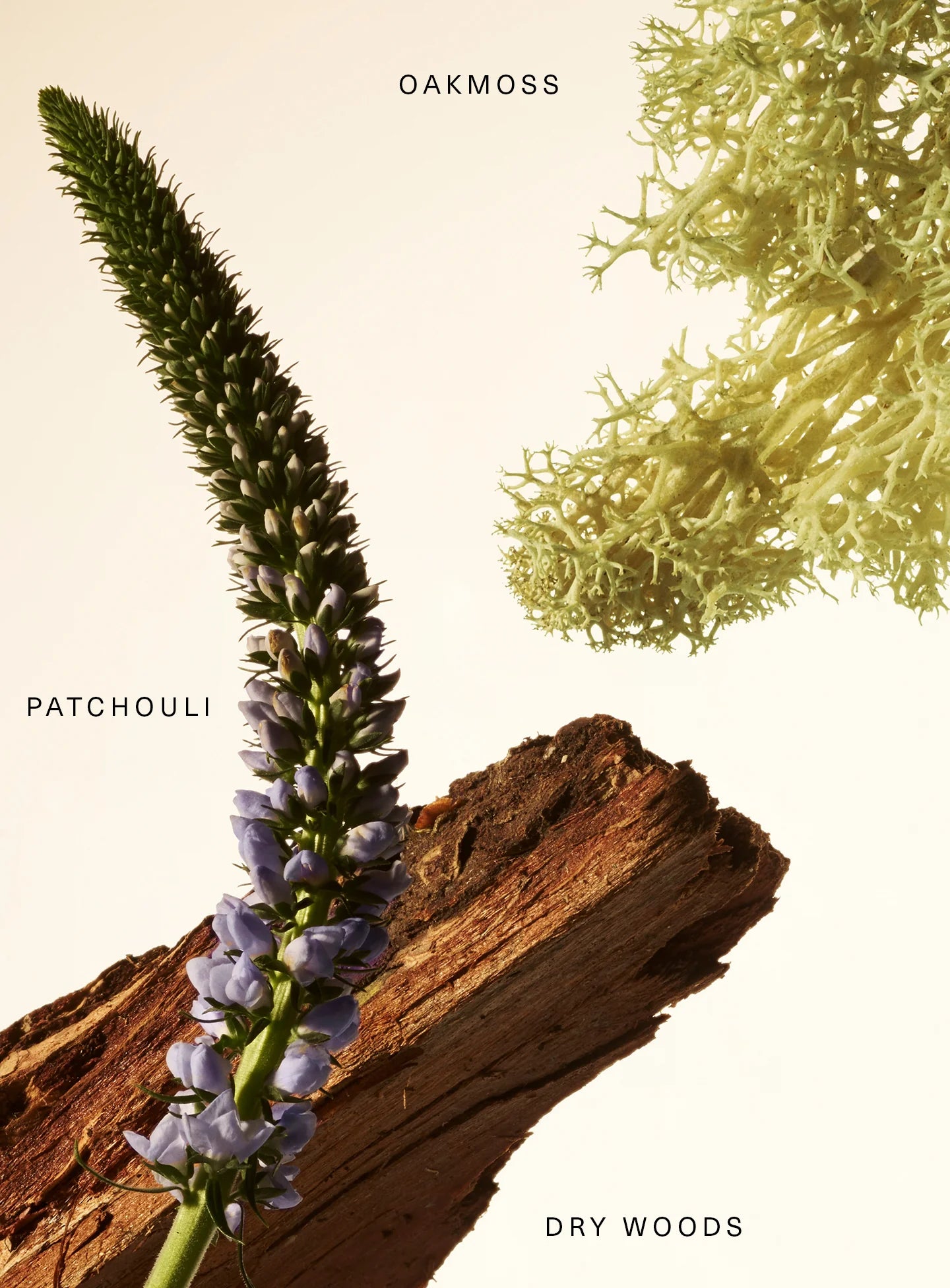 Woody Oak Fragrance Layering Balm