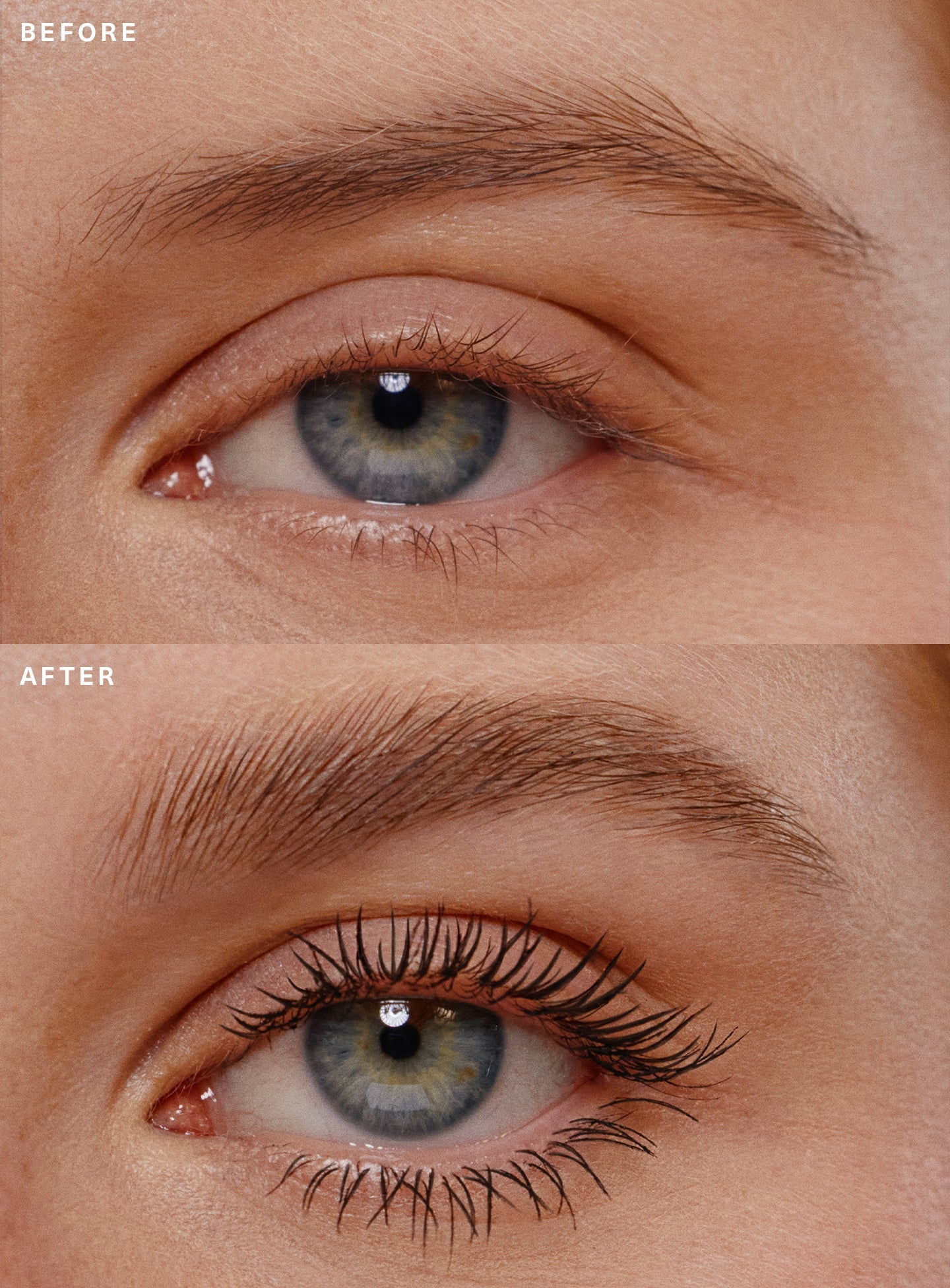 Mascara & Brow Gel Duo
