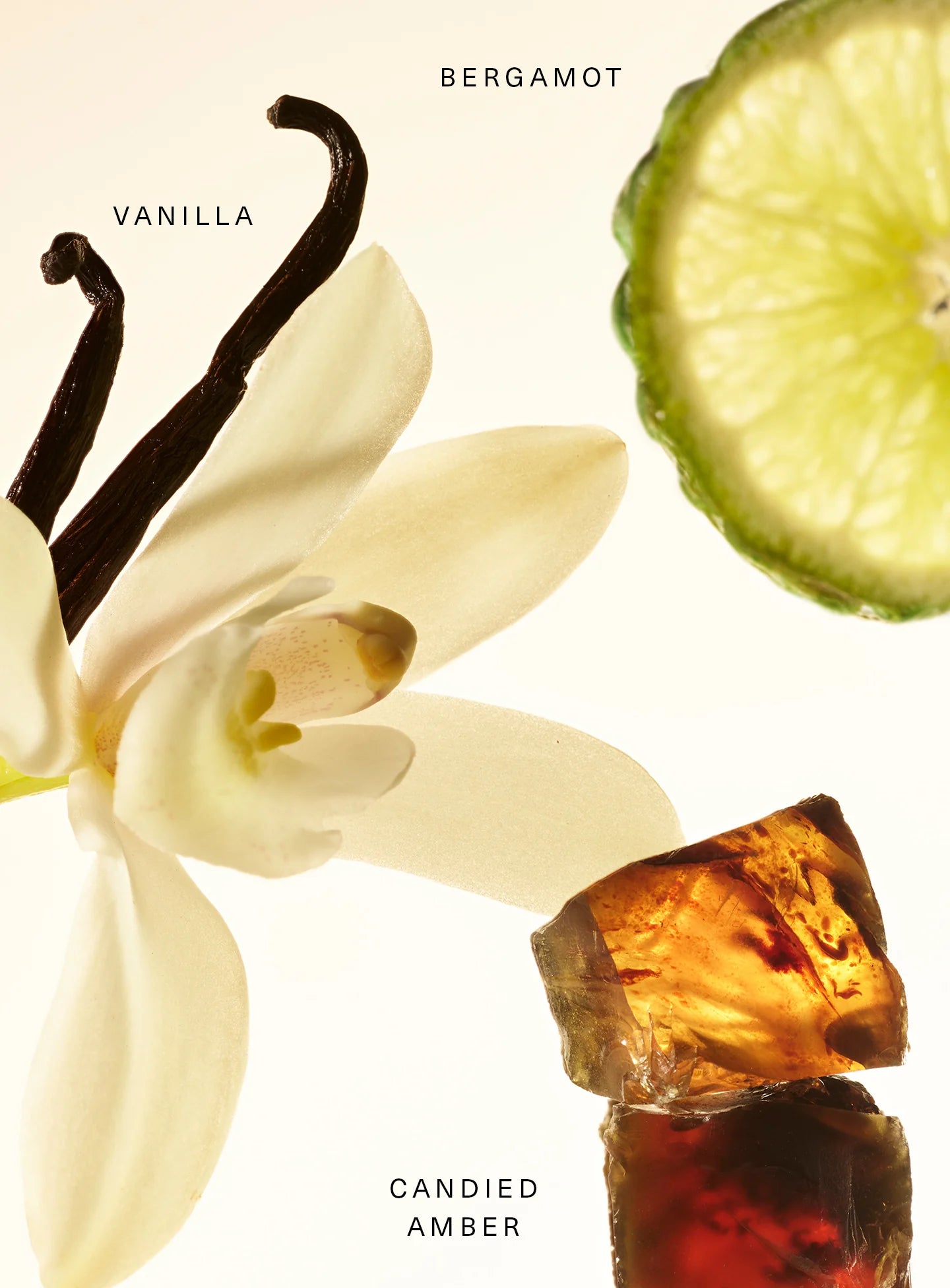 Amber Vanilla Fragrance Layering Balm